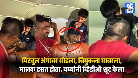 Mumbai Pitbull Attack: Dog Bites Boy, Owner Laughs | Viral Video from Mankhurd