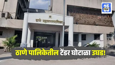 TMC Tender Scam