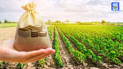 Crop Loan