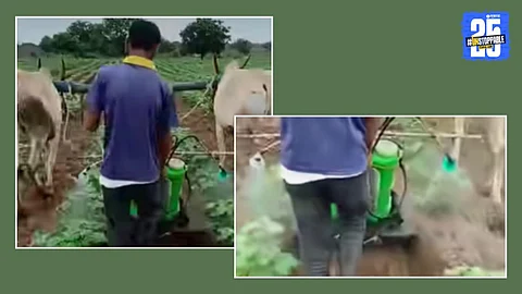 Video Viral