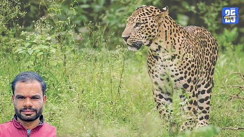 Satara News