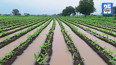 Marathwada Rain