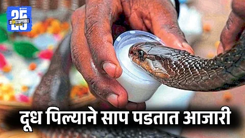 Snake Lovers Urge People to Not Feed Snakes Milk