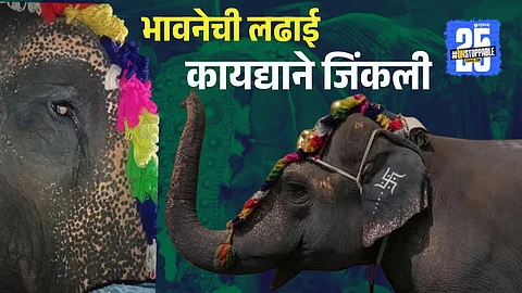 Mahadevi Elephant