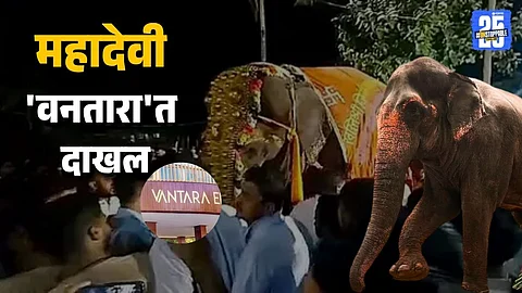 Mahadevi Elephant Shifted to Vantara: PETA Blames Math