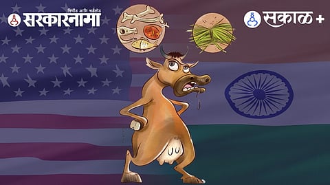 Non-Vegetarian Milk