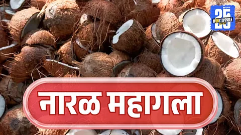 Coconut Price Hike
