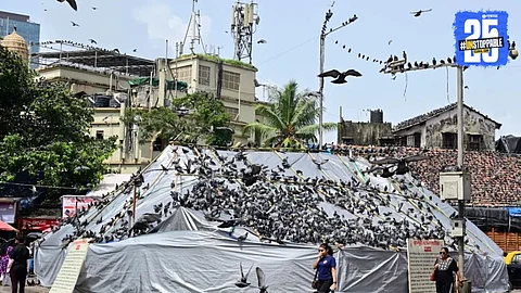 BMC Action on Kabutarkhana