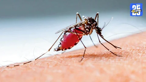 A health worker fumigates a mosquito-prone area in Mumbai amid a sharp rise in dengue, malaria, and chikungunya cases during the monsoon season.