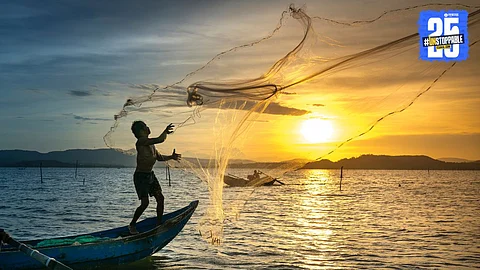 Fish production
