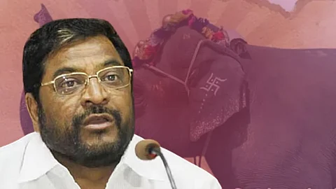 Raju Shetti On Elephant