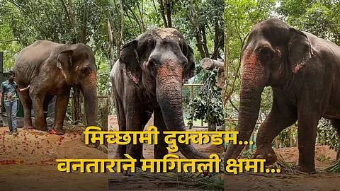 Vantara letter Elephant