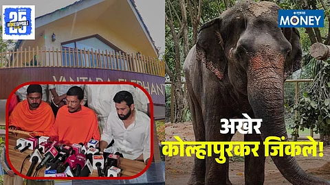 Madhuri Elephant