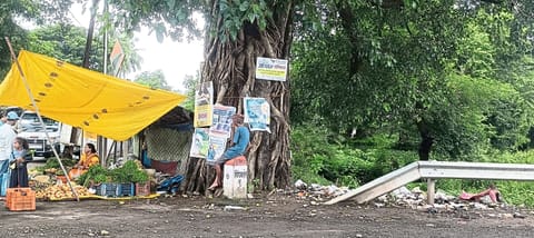 झाडांना फलकबाजीचा विळखा
