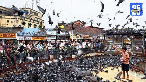 Kabutarkhana Ban