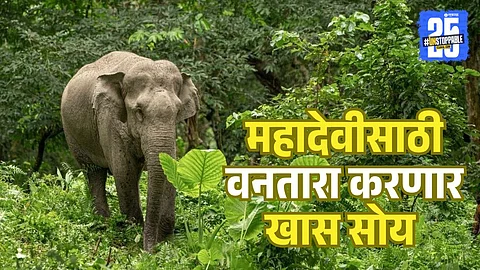 Mahadevi Elephant