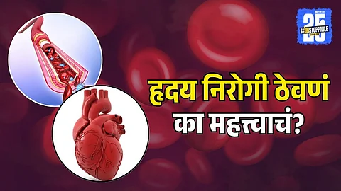 Most common causes of death due to circulatory problems