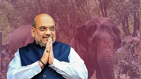 Mahadevi Elephant
