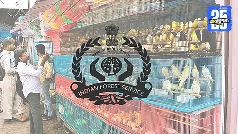 Forest Department Action