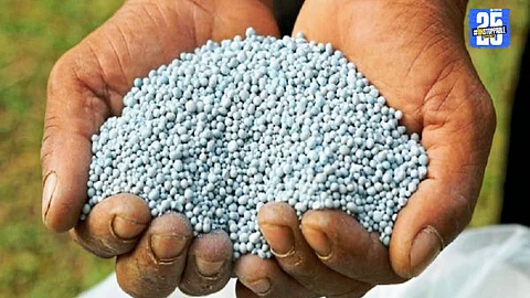 Agriculture Department officials inspecting fertilizer stock in Satara district shops before suspending licenses.