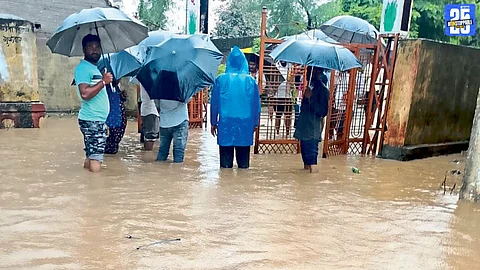 Rain