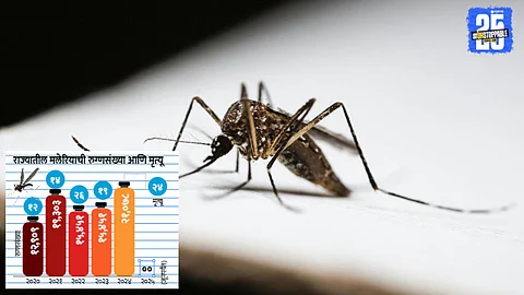 Malaria Vaccine
