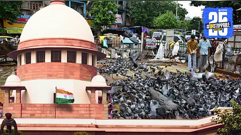 Supreme Court confirms High Court decision to allow FIRs against individuals feeding pigeons, citing public health and hygiene risks.
