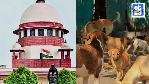 Supreme Court on Stray Dogs