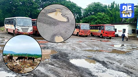 Raigad News