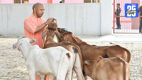 Uttar Pradesh