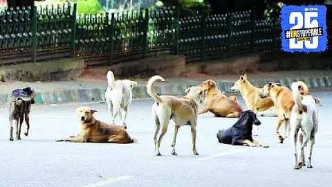 JDS MLC SL Bhojegowda’s shocking disclosure about 2,500 dogs being killed and buried sparks political and public outrage in Karnataka.