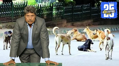 Cricket legend Kapil Dev appeals to authorities for stronger protection measures for stray dogs, highlighting the importance of animal welfare.