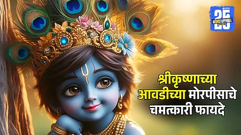 Spiritual & Positive Benefits of Lord Krishna’s Favourite Peacock Feather