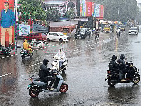 अलिबाग : जोरदार पावसामुळे जनजीवन विस्कळीत