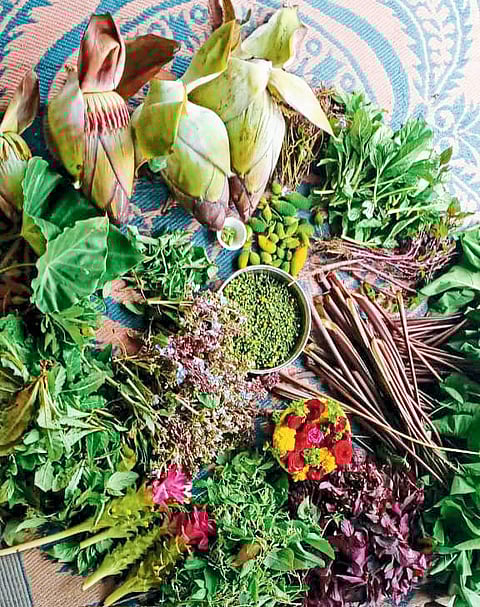 कोळवणला रंगला श्रावण रानभाज्या महोत्सव