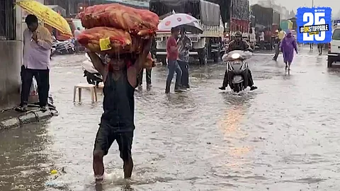 Navi Mumbai APMC Market