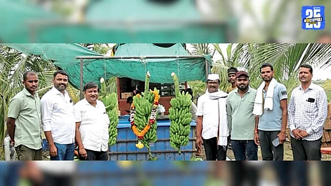 Agriculture Success