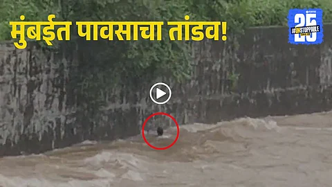mumbai rain viral video