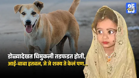 Tragic: Child Dies from Rabies Following Brutal Stray Dog Attack in India