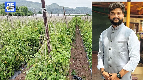 “Sangamner farmer Mangesh Gade earns ₹40 lakh from tomato farming on 5 acres – a success story in modern agriculture.”