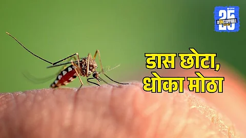 How to Prevent Dengue Malaria Chikungunya in Monsoon