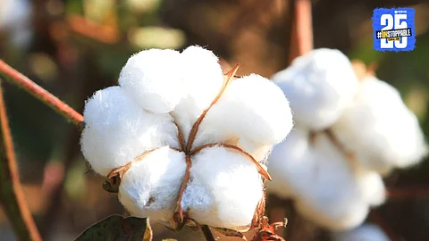 Agriculture News