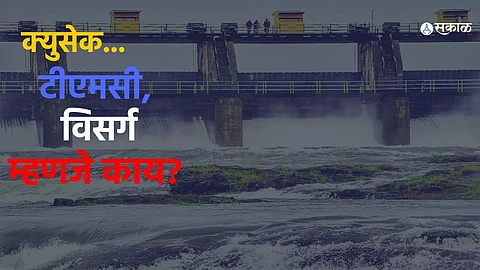 cusack meaning in marathi