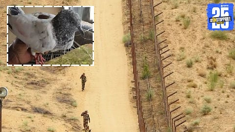 Indian soldiers caught a pigeon near the India-Pakistan border carrying a threat letter, sparking major security concerns.