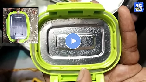 Tiffin Box maggots Viral Video