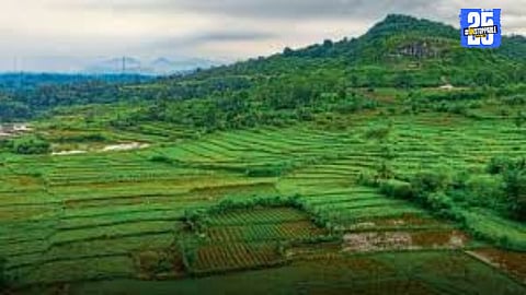 Farmers from Mhaswad struggling for 32 years after losing land to government without compensation.