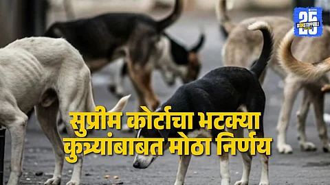 Supreme Court : सुप्रीम कोर्टाचा भटक्या कुत्र्यांबाबत मोठा निर्णय ! शेल्टर होममध्ये ठेवता येणार नाही, नसबंदी हाच योग्य उपाय