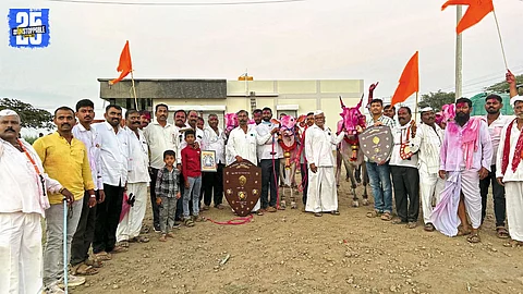 Passion for Bull Pairs Lives On in Deshmukh Family’s Rural Legacy