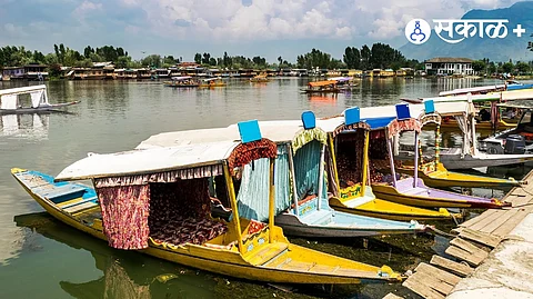 Kashmir economic development