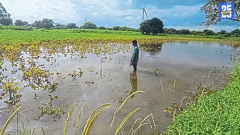 Agriculture Loss